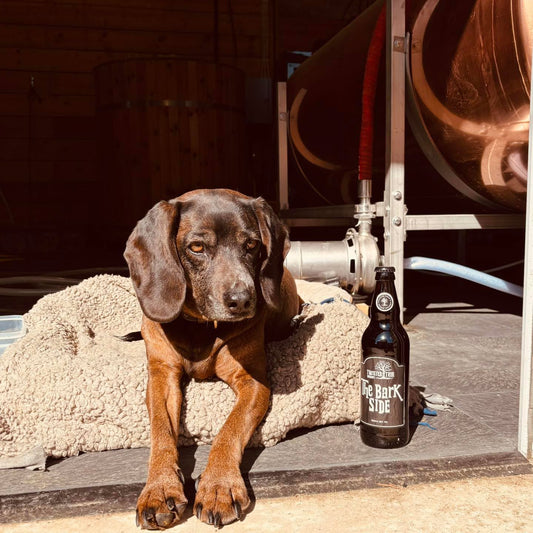 🎉 Happy Birthday to our top dog and official BrewHound, Cassie! 🎉